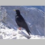 Karwendel  2004__04.JPG