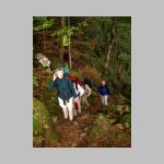 Wandern Vogesen 2005  008.JPG