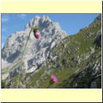  Watzmann  067.jpg