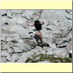  Watzmann  078.jpg
